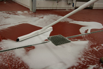 Principles of Cleaning Principles of Cleaning